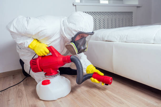 Best Pest Removal Services  in Groveton, VA