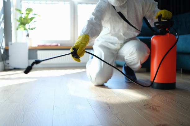 Professional Pest Control in Groveton, VA